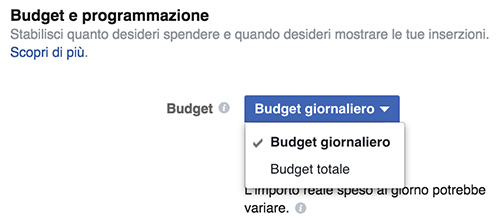 Tipologia di Budget