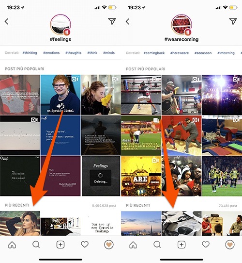 Feed hashtag Instagram