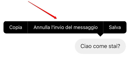 Annulla invio del messaggio Direct