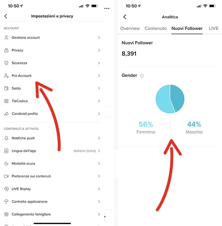 Pro account su TikTok