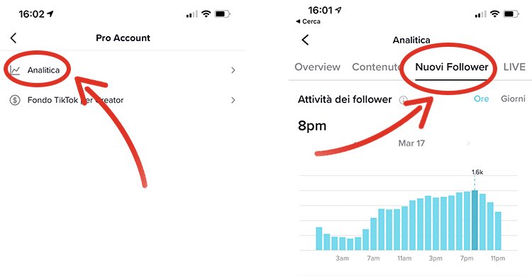 Statistiche di TikTok