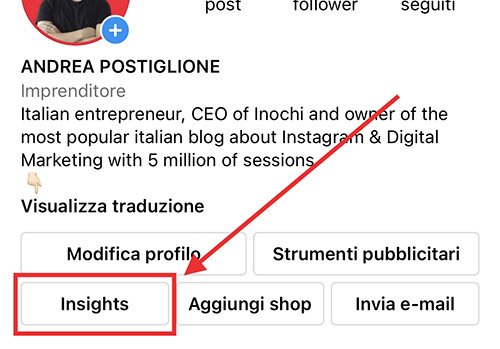 Instagram Insights