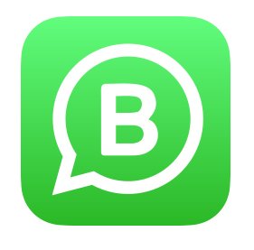 WhatsApp Business per iOS
